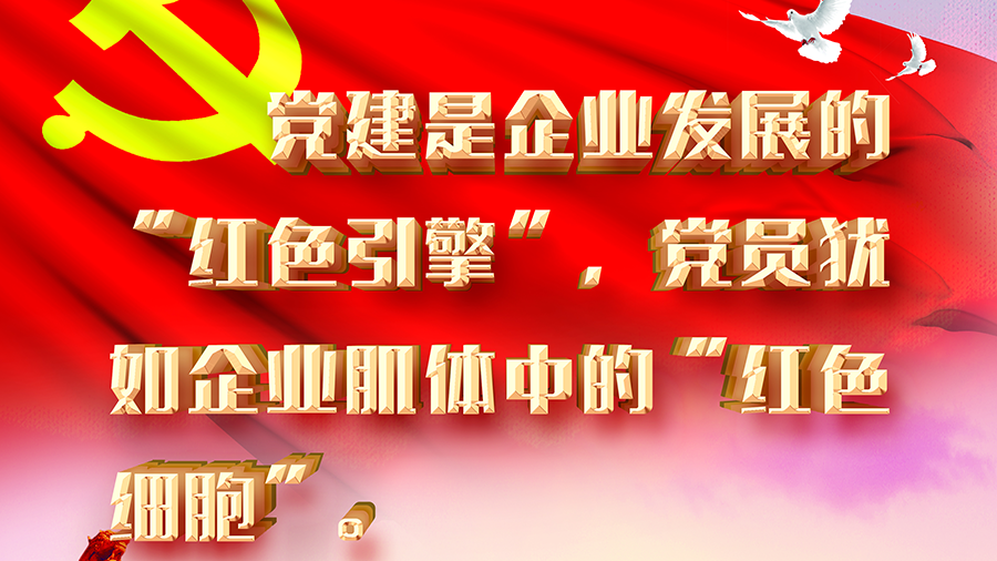 陜西豐邦黨支部黨建系列宣傳畫（二